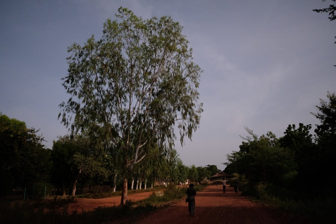 Artisanat Burkina Faso