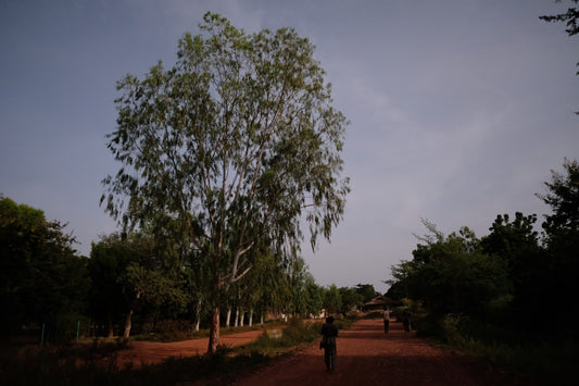 Artisanat Burkina Faso